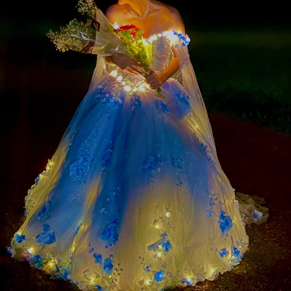 Quinceanera Dress / Prom/ Homecoming/ Formal/ Ballgown Corset Light up Dress